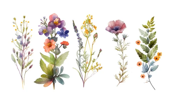 水色植物ベクターセット 抽象的な春の野生の花 葉の枝 最小限のスタイルで花の葉のコレクション — ストックベクタ