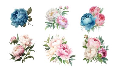 Suluboya çiçek şakayığı, çiçekler ve yapraklar şakayıklar, beyaz arka planda izole edilmiş suluboya gül, çiçek seti, davetiye için vektör tasarımı, düğün, tarih, kart, tatil,