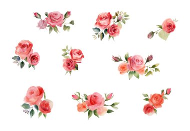 Çiçek dalı seti. Çiçek kırmızısı, bordo, lacivert gül, yeşil yapraklar. Çiçekli düğün konsepti. Çiçek posteri, davet.