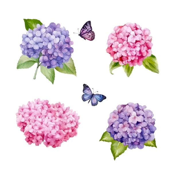 Watercolor style hydrangea flowers set. Glacier blue, violet lilac, purple colored. Vector illustration for simple, natural spring floral wedding design.
