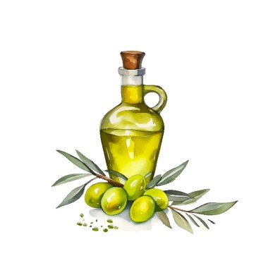 Zeytin şişesi illüstrasyonu. El çizimi suluboya resim