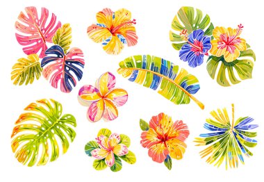 Tropikal vektör çiçek. kart çiçek çizim ile. Bir buket çiçek ile egzotik yaprak beyaz arka plan üzerinde izole. kompozisyon için parti ya da tatil için davet