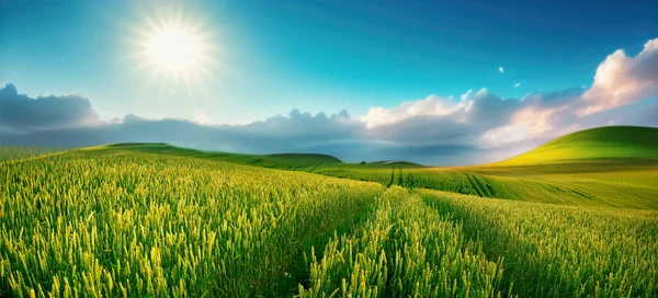 Прекрасна Весняна Панорама Поля Молодої Зеленої Пшениці Пагорбах Тлі Блакитного — стокове фото