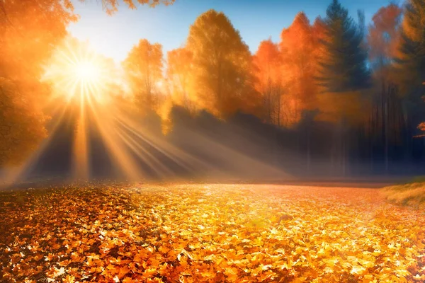 Sarı Yapraklardan Oluşan Halısı Olan Güzel Parlak Sonbahar Manzarası Parlak — Stok fotoğraf