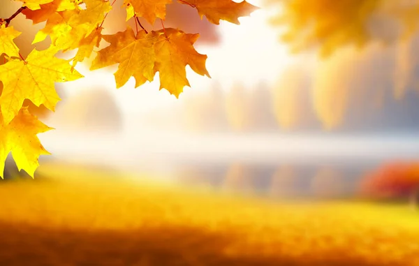 Güzel Bulanık Evrensel Işık Sonbahar Arkaplanı Sarı Yapraklar Bulanık Bokeh — Stok fotoğraf
