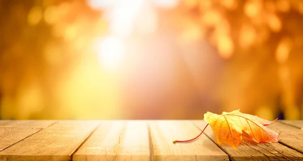 美しい秋の公園の木々の背景のぼやけた木の葉を背景に 木製の板とオレンジの乾燥葉 発表のための秋の普遍的背景 — ストック写真