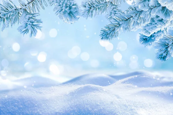 Piękne Zimowe Tło Obraz Mrożonych Gałęzi Świerku Małych Dryftów Czystego — Zdjęcie stockowe