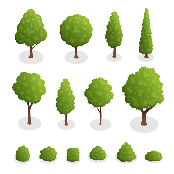 stock vector Isometric set of park plants. 3d green trees and bushes of various shapes isolated on white background vector illustration. Isometric illustration.