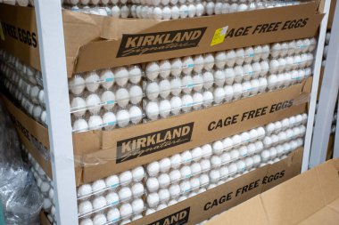 Los Angeles, California, United States - 05-20-2022: A view of several containers of Kirkland Signature fresh cage free eggs, on display at a local Costco store. clipart