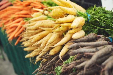 Birkaç havuç yığını yerel bir çiftçi pazarında sergileniyor..