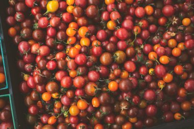 Renkli domateslerle dolu bir sandığın yukarıdan görünüşü.