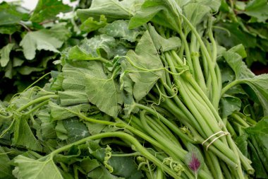 Yerel bir çiftçi pazarında sergilenen birkaç tatlı patates yaprağının görüntüsü.