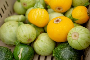 Yerel bir çiftçi pazarında sergilenen çeşitli küçük kabakların olduğu bir sandık manzarası..