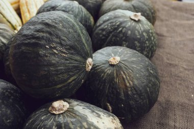 Yerel bir çiftçi pazarında sergilenen birkaç kabocha kabağı manzarası.