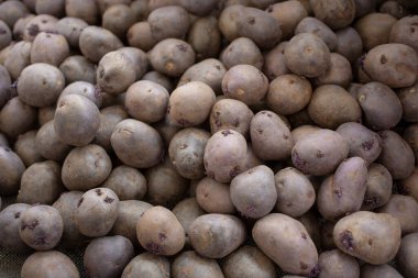 Yerel bir çiftçi pazarında sergilenen büyük bir patates yığını manzarası.