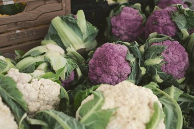 Yerel bir çiftçi pazarında çeşitli renklerde karnabahar sergileniyor..