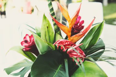 Tropikal bir bitki buketi manzarası.