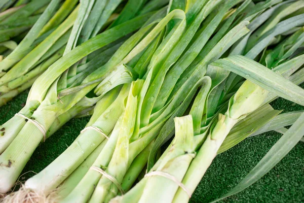 stock image A view of a several bundles of leeks, on display at a local farmers market.