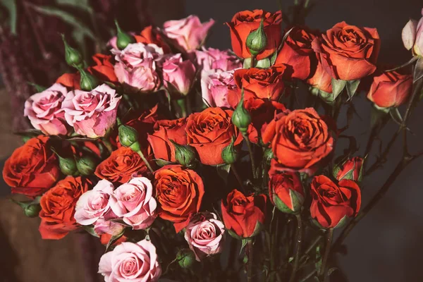 A view of a bouquet of red and pink roses, basking in the sunlight.