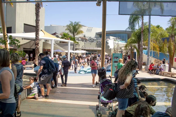 米国カリフォルニア州ロングビーチ 2022 ロングビーチ水族館で展示品を探索する人々の見解 — ストック写真