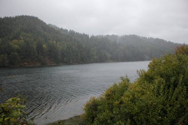 Bulutlu bir sabahta Umpqua Nehri manzarası.