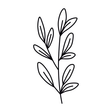 Basit çizgiler ve yapraklar içeren yapraklı bir dalın minimalist çizgisi. Botanik, doğa ve minimalist tasarımlar için mükemmel..