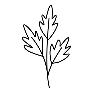 Bir yaprağın minimalist siyah beyaz çizimi. Boyama kitapları, botanik tasarımlar ya da doğadan esinlenilmiş sanat eserleri için mükemmel..