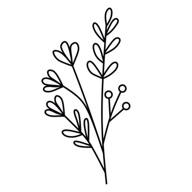 Tasarım ve çizimler için ideal, yapraklar ve böğürtlenlerle bir botanik bitkisi dalı çizen minimalist siyah ve beyaz bir çizgi.