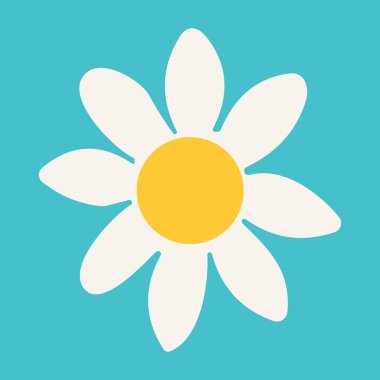 Beyaz taç yaprakları ve mavi arka planda sarı bir merkezi olan basit bir papatya çiçeği simgesinin vektör çizimi.
