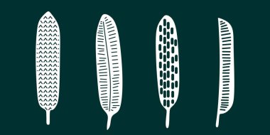 Farklı desenlerde, sanatsal ve dekoratif amaçlar için mükemmel tasarlanmış dört farklı tüyü içeren grafik bir resim..