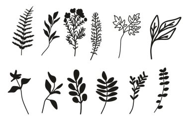 Çeşitli dallar, yapraklar ve çiçeklerden oluşan el yapımı vektör çizimleri. Botanik tasarımlar, doğa temaları ve dekoratif elementler için mükemmel..