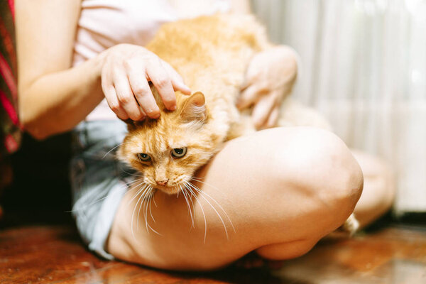 Крупный план обеспокоенной женщины, гладящей свою рыжую кошку, которая, кажется, в беде или дискомфорте.
