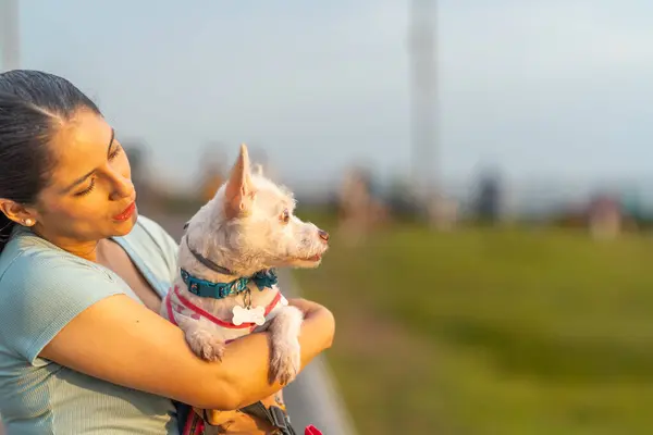 A tender moment as a woman lovingly holds her small white dog, enjoying the warm glow of a sunset.