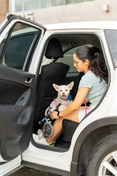 Young woman with her dog in a wheelchair getting out of the car, ready to go to the park.
