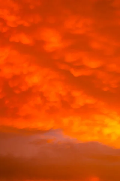 Abstract Pattern Cloud Sky Calming Coral Orange Trend Color Background — Fotografia de Stock