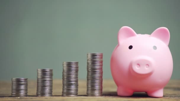 Sparen Sie Geld Und Kontoführung Für Finanzierungskonzept Hand Mit Münze — Stockvideo