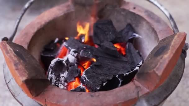 Earth World Concept Cooking Using Natural Thermal Energy Use Natural — Wideo stockowe