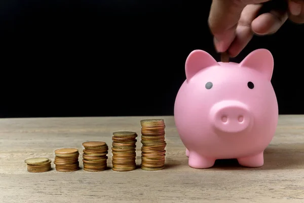 stock image Save money and account banking for finance concept, Piggy bank with coin on blurred background, Save Monney for Investors Using Internet to Trade Stocks or Trade Fund