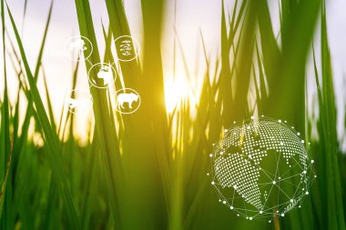 Ekosistem ve doğa ile sürdürülebilir konsept, orman gezisi doğa koruma