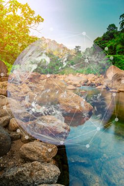 Ekosistem ve doğa ile sürdürülebilir konsept, NASA CREDIT, Orman Seyahati Doğa Koruma