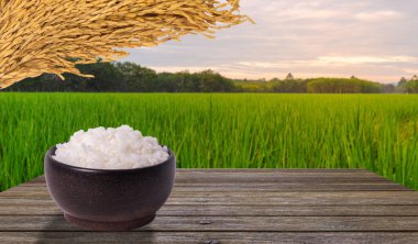 Ürün tasarımı için pirinç markası, alacakaranlıkta gün batımı renginde pirinç tarlası, kırsal alanda yeşil pirinç tarlası.