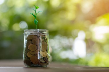 Büyüyen para, büyüyen para ve finans konsepti için banka hesabı, bozuk para yığını yumuşak bulanık arkaplan