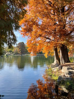 Ağaçlı güzel bir göl manzarası.
