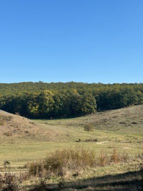 Kuru otlarla, ağaçlarla ve mavi gökyüzüyle manzara