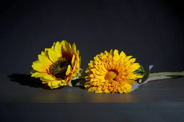 Flores Amarelas Fundo Azul Ainda Vida — Fotografia de Stock