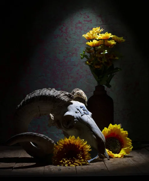 Naturaleza Muerta Cráneo Muflón Con Flores Amarillas — Foto de Stock