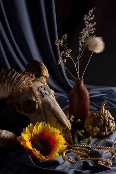 Ainda Vida Crânio Mouflon Plantas Secas Flores Amarelas — Fotografia de Stock
