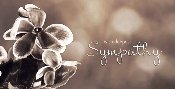Sympathy card with cyclamen flowers