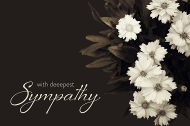 Sympathy card with bunch of white flowers on dark background