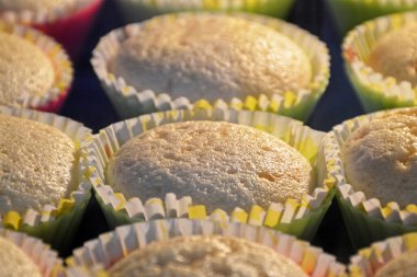 Baking muffins in oven, selective focus